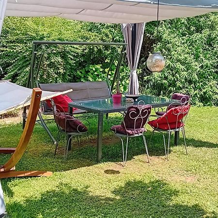 Camping Under The Walnut In Your Own Tent On A Shared Lot And Shared Bathroom Ljubljana Exterior photo