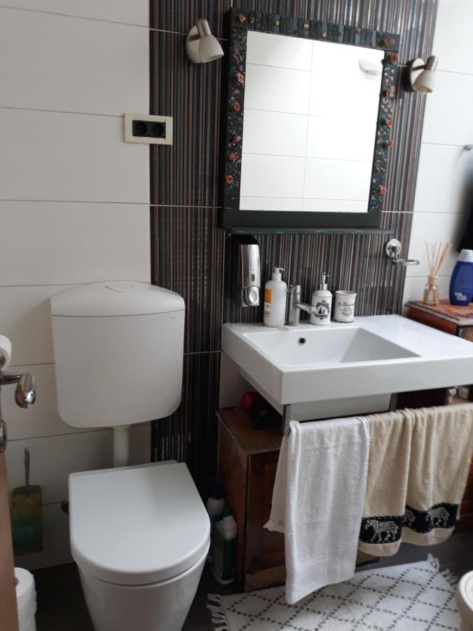 Camping Under The Walnut In Your Own Tent On A Shared Lot And Shared Bathroom Ljubljana Exterior photo
