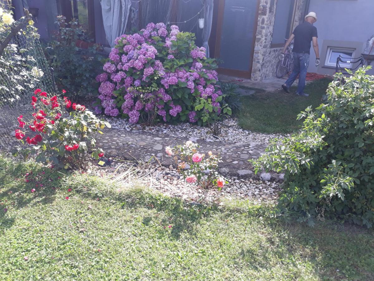 Camping Under The Walnut In Your Own Tent On A Shared Lot And Shared Bathroom Ljubljana Exterior photo
